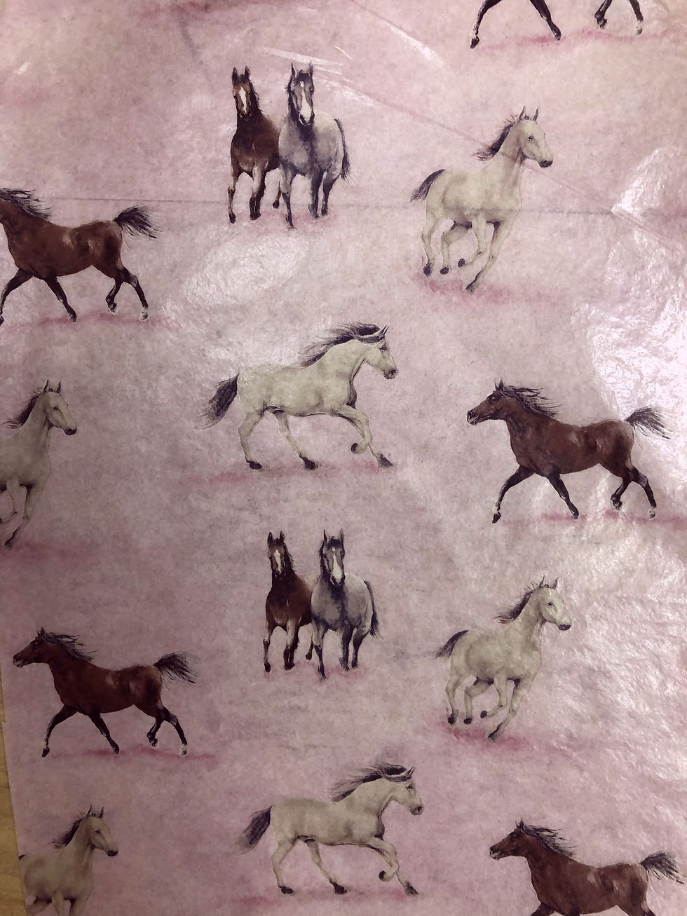 Horses