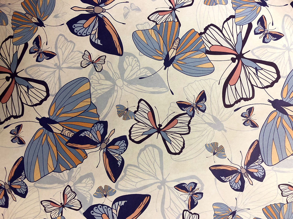 New butterflies