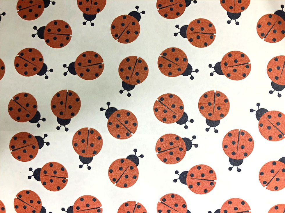 Ladybugs