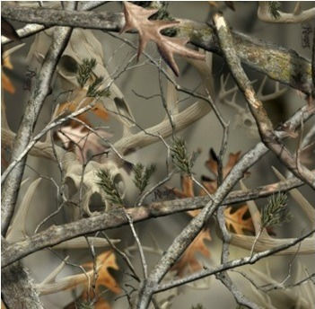 Tree Camo