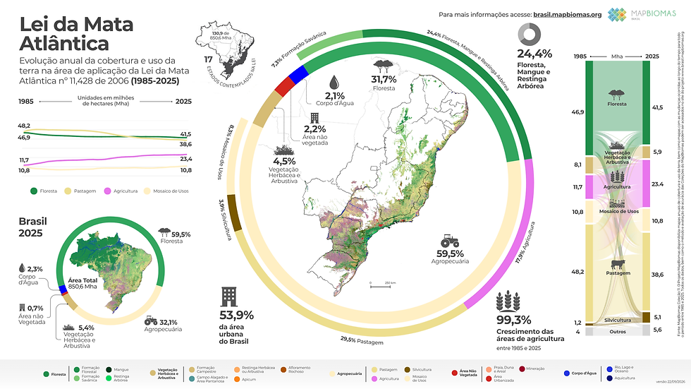 Informativo sobre a Mata Atlântica. Fonte: MapBiomas