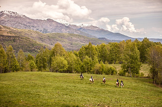 Horse Riding in the Valley