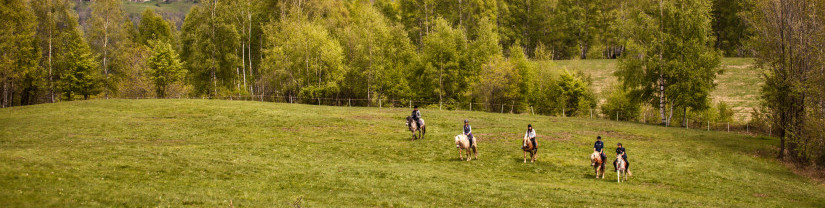 Horse Riding Landscape