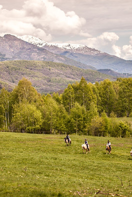 Horse Riding in the Valley