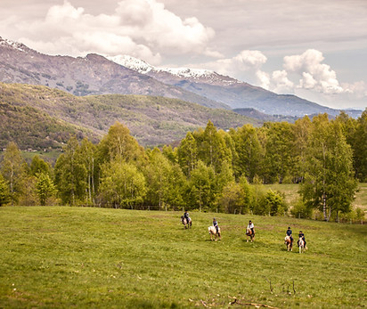Horse Riding in the Valley