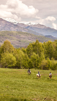 Horse Riding in the Valley