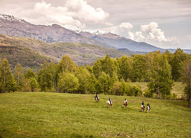 Horse Back Riding Resort in Montana