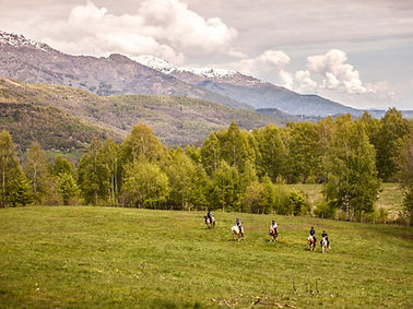 Horse Riding in the Valley