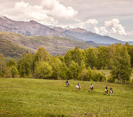 Horse Riding in the Valley