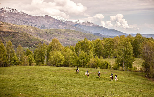 Horse Riding in the Valley