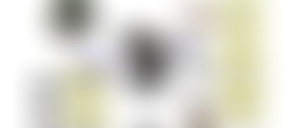 [헬로디디] 150만km 돌아가고 검은색 옷입고 '다누리' 이모저모