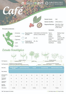 infoagro_fichas-tecnicas_cafe_edited.jpg