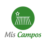 mis-campoa.png