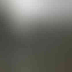 level 5 wall finish WA