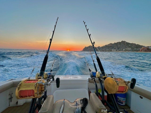 cabo fishing charters