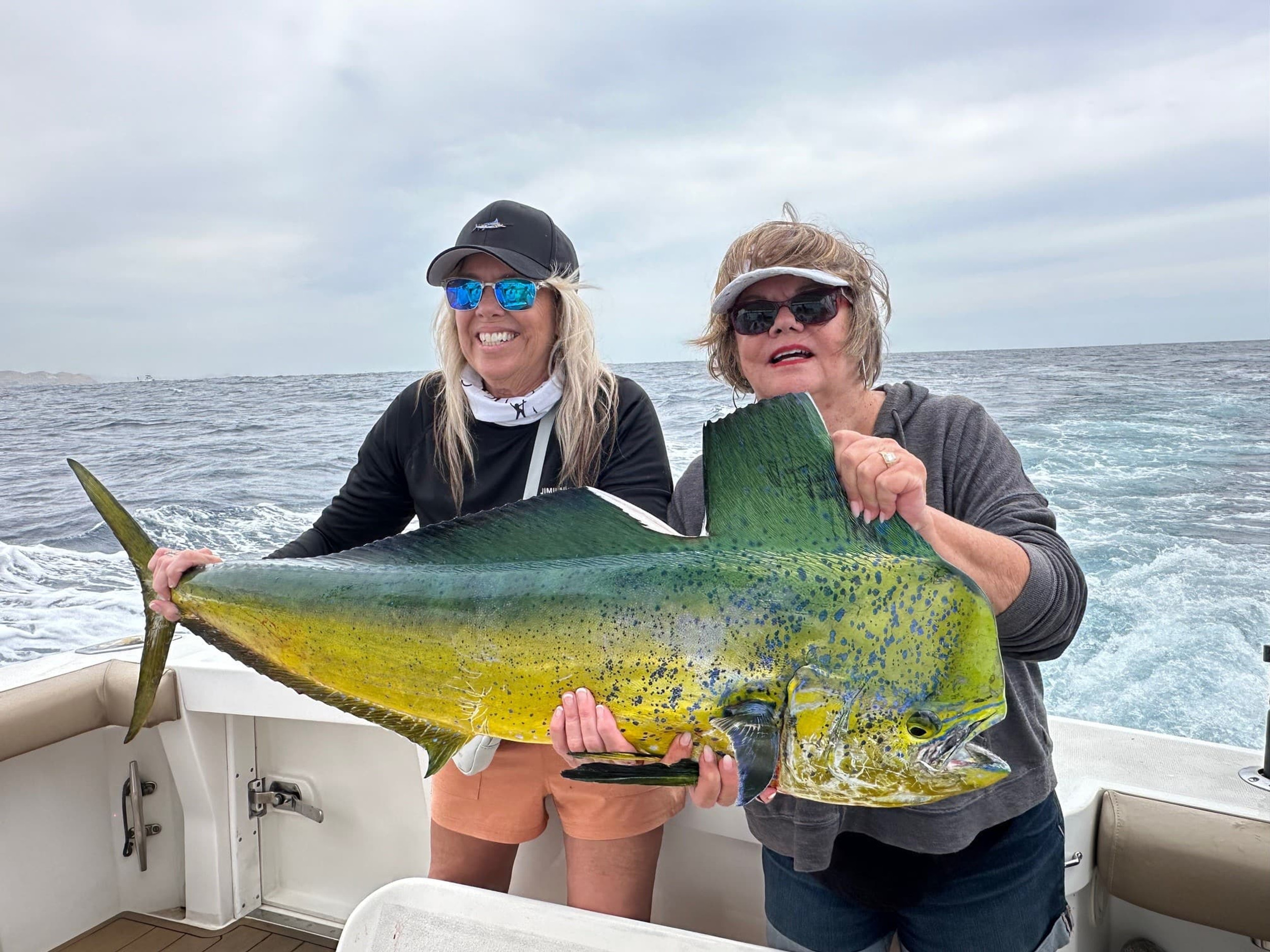 Ultimate Guide Fishing Seasons in Cabo San Lucas Mexico