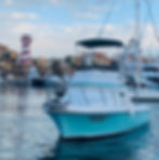 cabo sporfishing charters