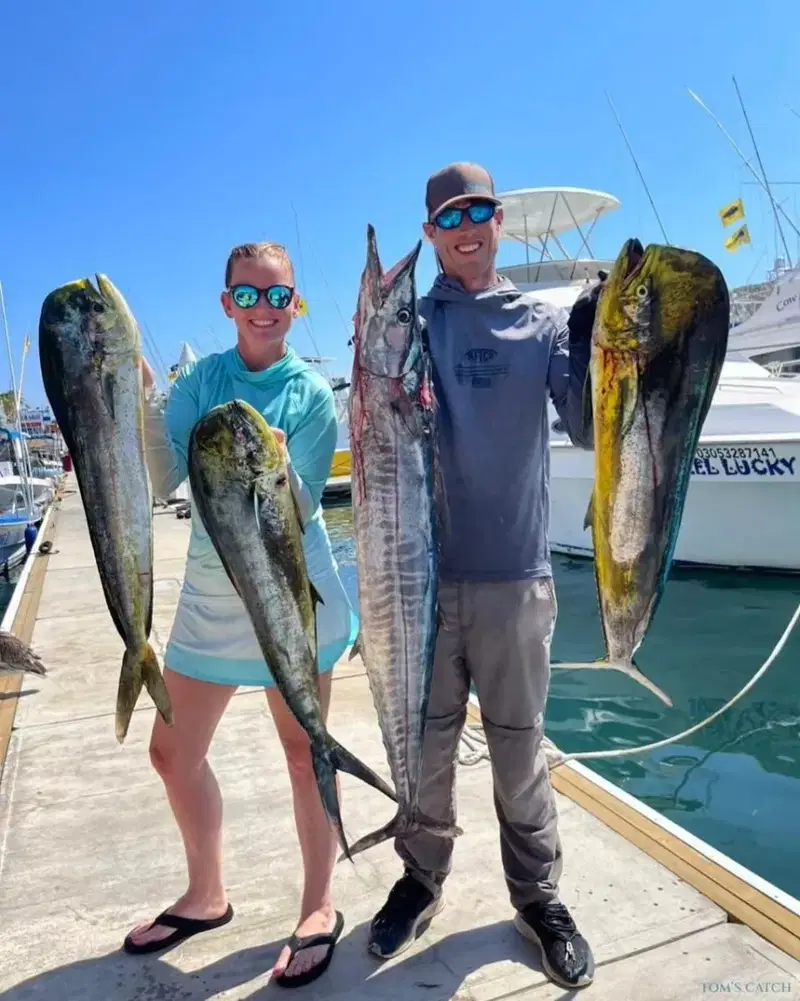 Dorado (mahi mahi) and wahoo caught while fishing in Cabo