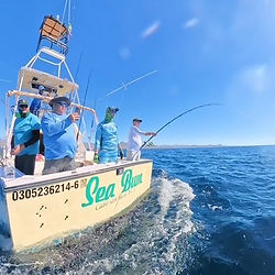 charter boats cabo san lucas