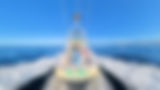 Cabo fishing charters