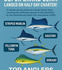 Cabo Fishing Charters Glory: Super Grand Slam Landed on a Half-Day Charter!