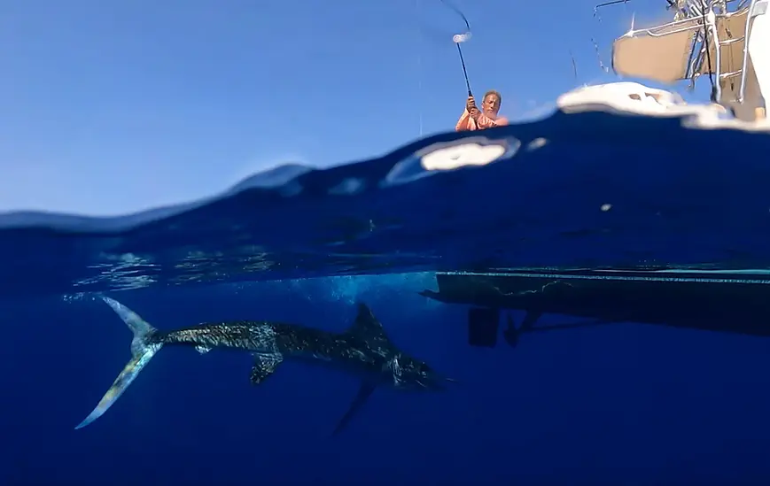 Angler in Cabo San Lucas with a marlin on the line under the charter fishing boat.