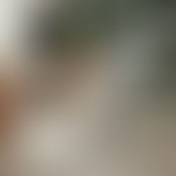 Cadeira Herman Miller Sayl Desce Sozinha: O Que Dizem os Usuários e Como Resolver