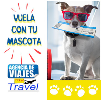 1B76768E-083B-40A5-8957-863667A1BA08.jpe