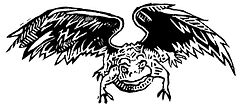 Flying Toad.jpg