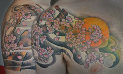 月夜桜/Moon & cherry blossoms