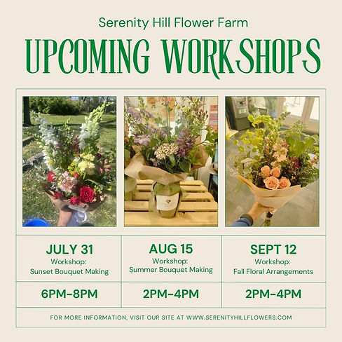 Workshops.jpeg
