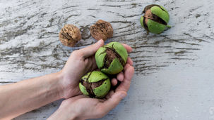 מלאו כיסי באגוזים- וגם מתכון לקציצות