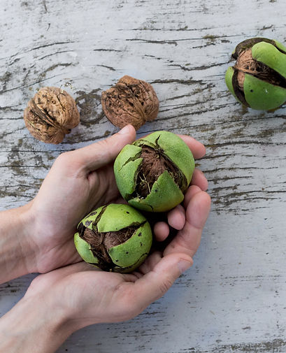 Walnuts