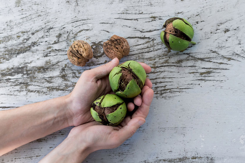 nueces