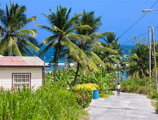 iStock_000008525287Large.jpg