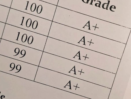 Grades are good. But grades when you have actually understood are better.