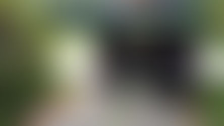 Keeping a Sense of Humor When the Septic System Goes Out