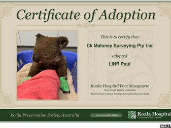 Adopting for the Future