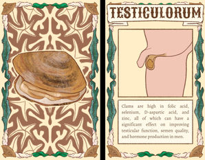 Clam to Testicles