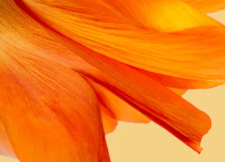 Rituel boost vitaminé.png