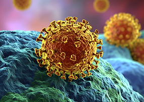 Ocilograma da mastigação (6).png