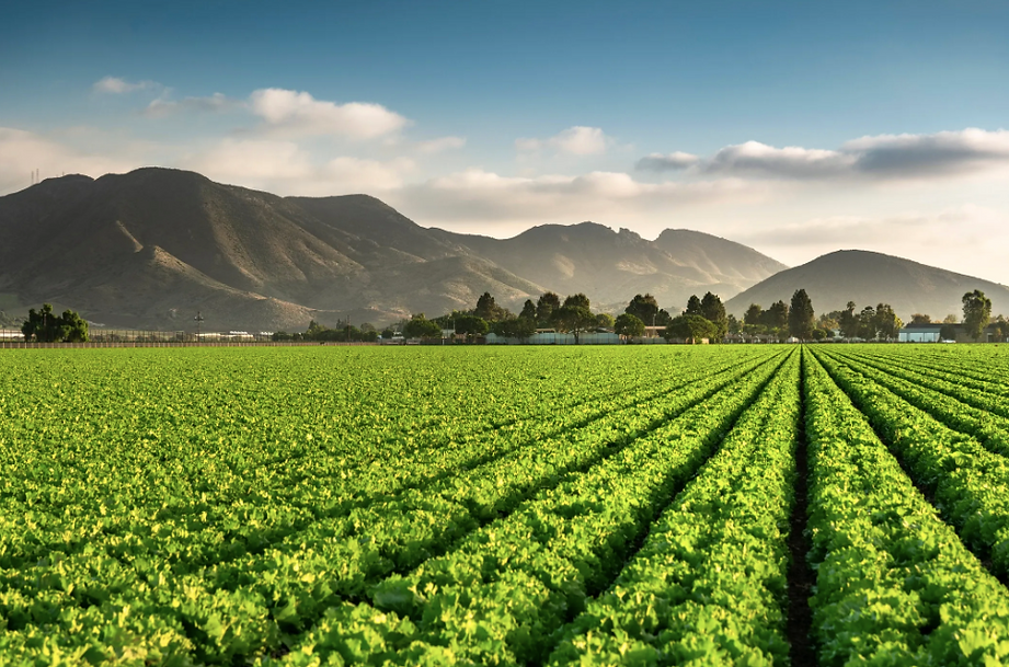 Screen Shot 2025-08-18 at 2.33.21 PM.png