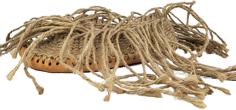 20240602_150510 copy_edited.png