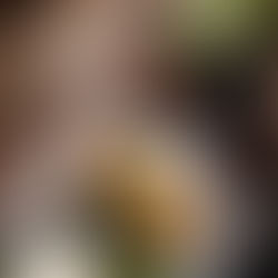 BDG.CVLINARY: RM. Saung Palupuh 2 - Majalaya