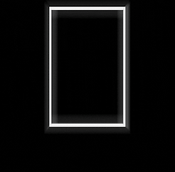 No Limit Movers Brand