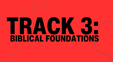 TRACK GRAPHIC 3.png