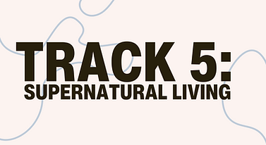 TRACK GRAPHIC 5.png