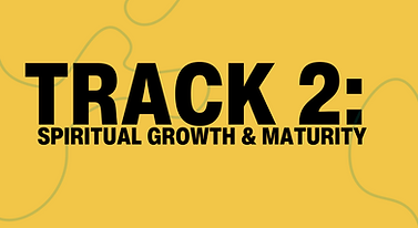 TRACK GRAPHIC 2.png