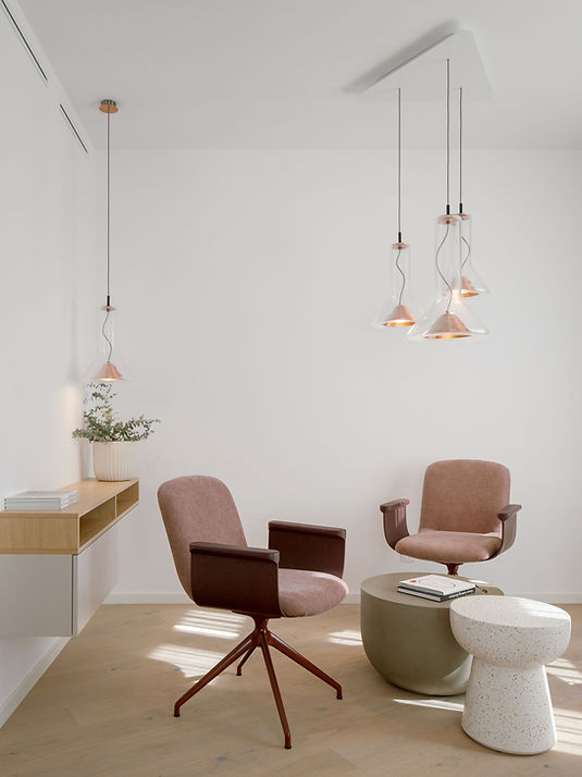 Marco Maio - Dog Office - photo by alex shoots buildings (11).jpg