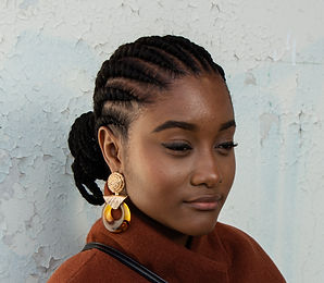 cornrows, braids